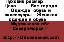 Пуховик размер 42-44 › Цена ­ 750 - Все города Одежда, обувь и аксессуары » Женская одежда и обувь   . Мурманская обл.,Североморск г.